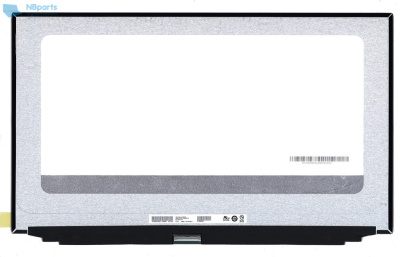 Матрица 17,3” B173ZAN03.3 M NE